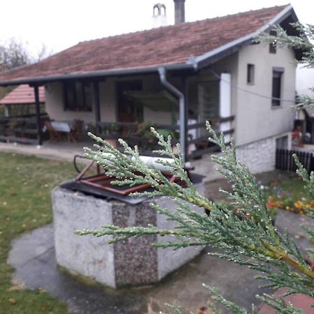 Galerija Jovanovic Topola Екстериор снимка